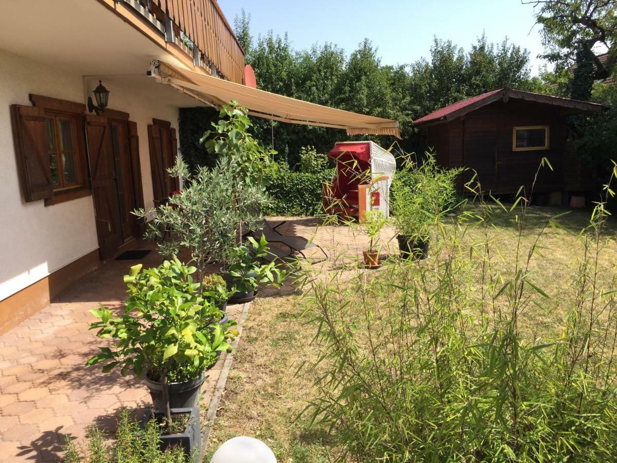 Maintal Appartement Würzburg